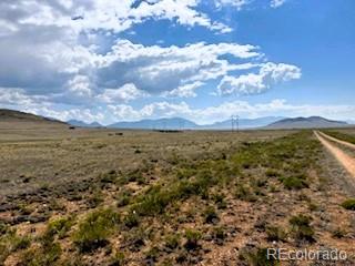 231 S Muley Gulch Drive Hartsel CO 80449