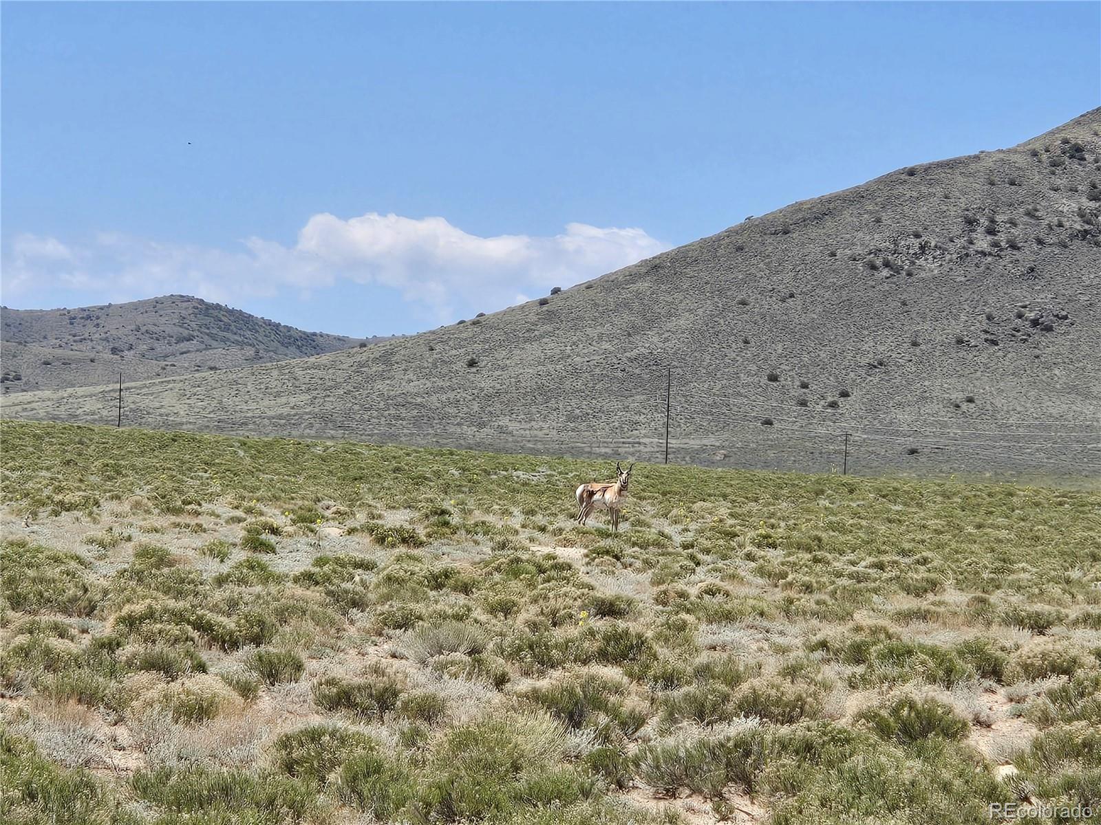11TH Street Lot 6 Blanca CO 81133