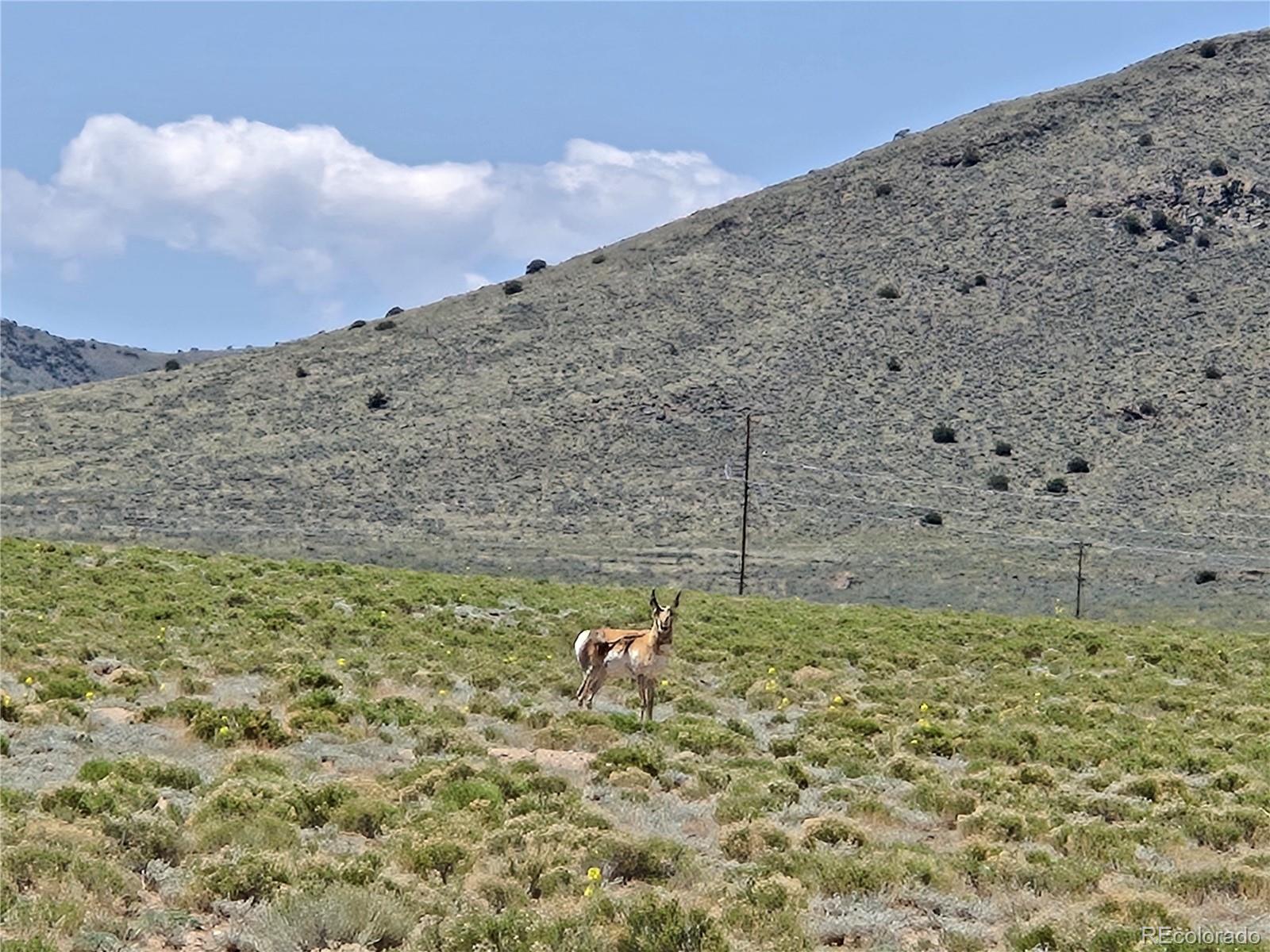 11TH Street Lot 6 Blanca CO 81133