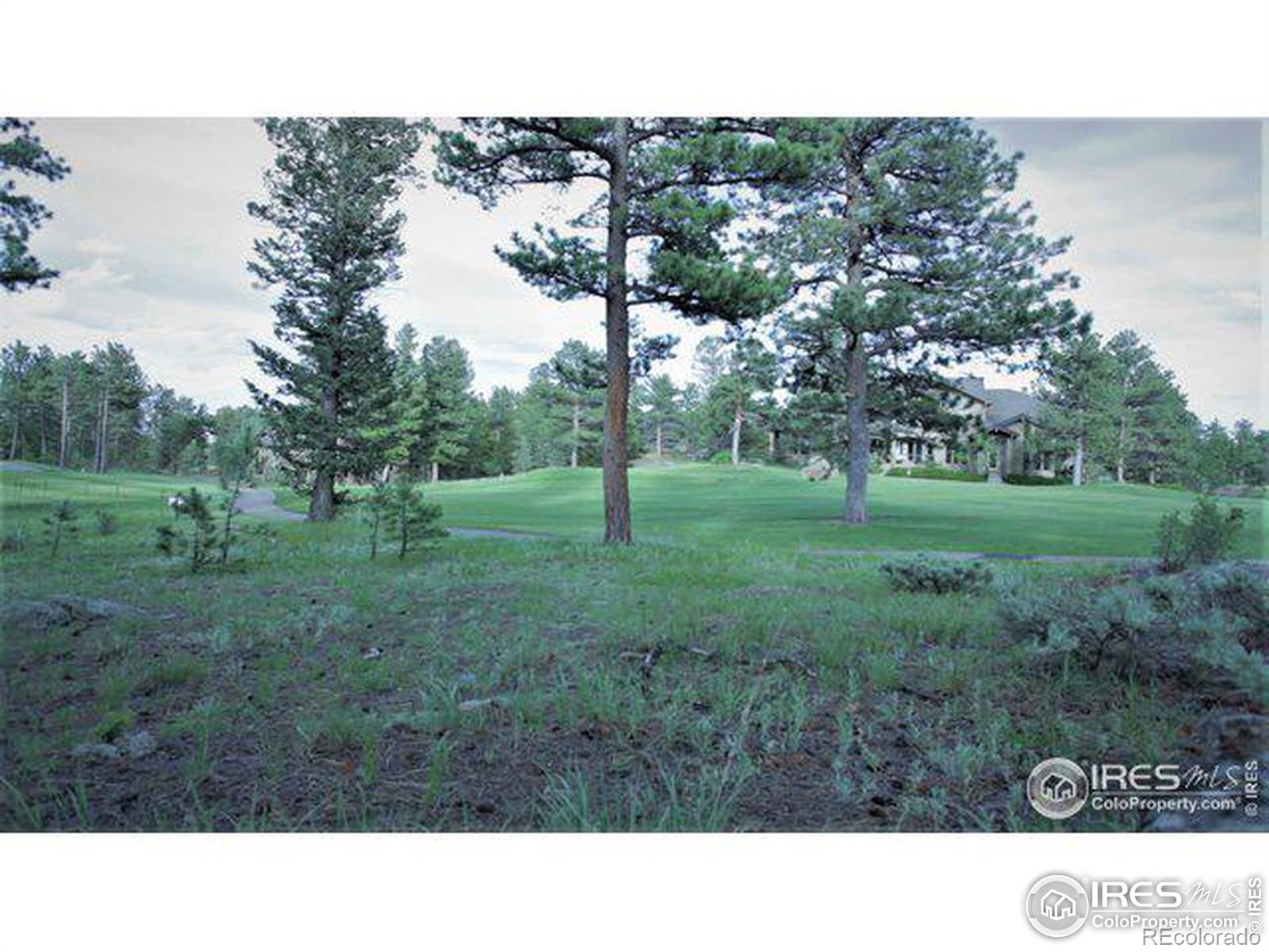 2433 Fox Acres Drive E Red Feather Lakes CO 80545