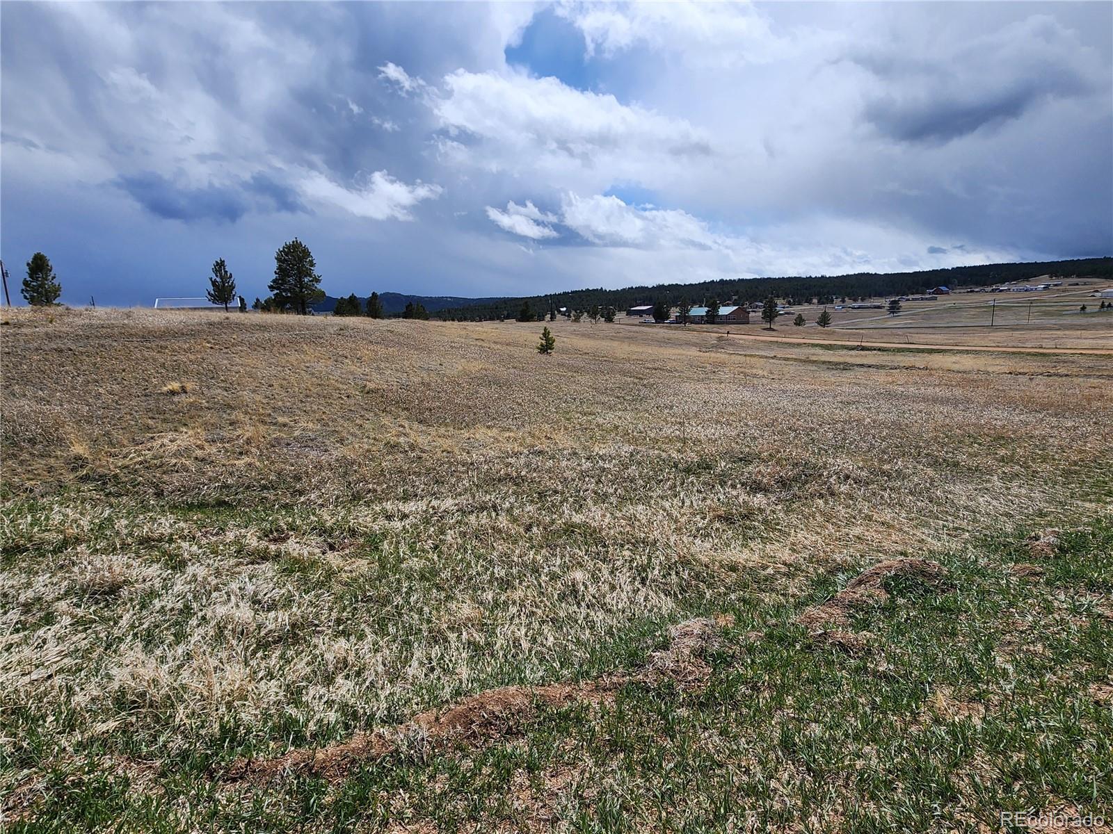 714 Empire Road Florissant CO 80816