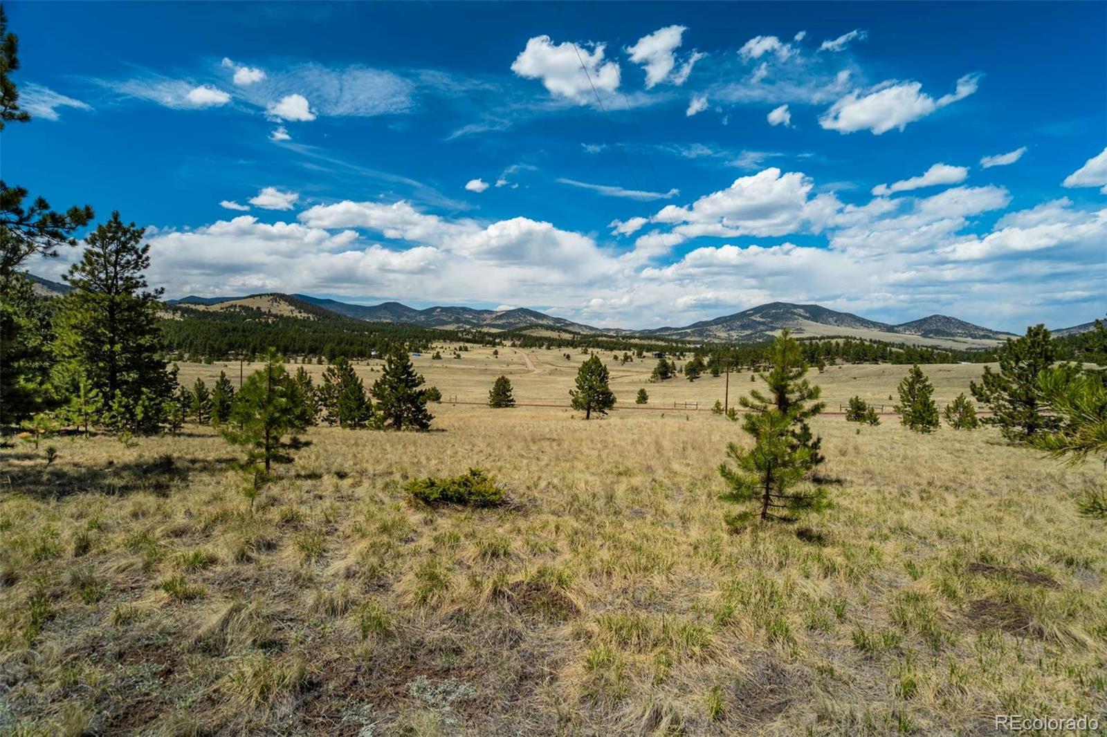 128 Nancy Ann Arroyo Guffey CO 80820