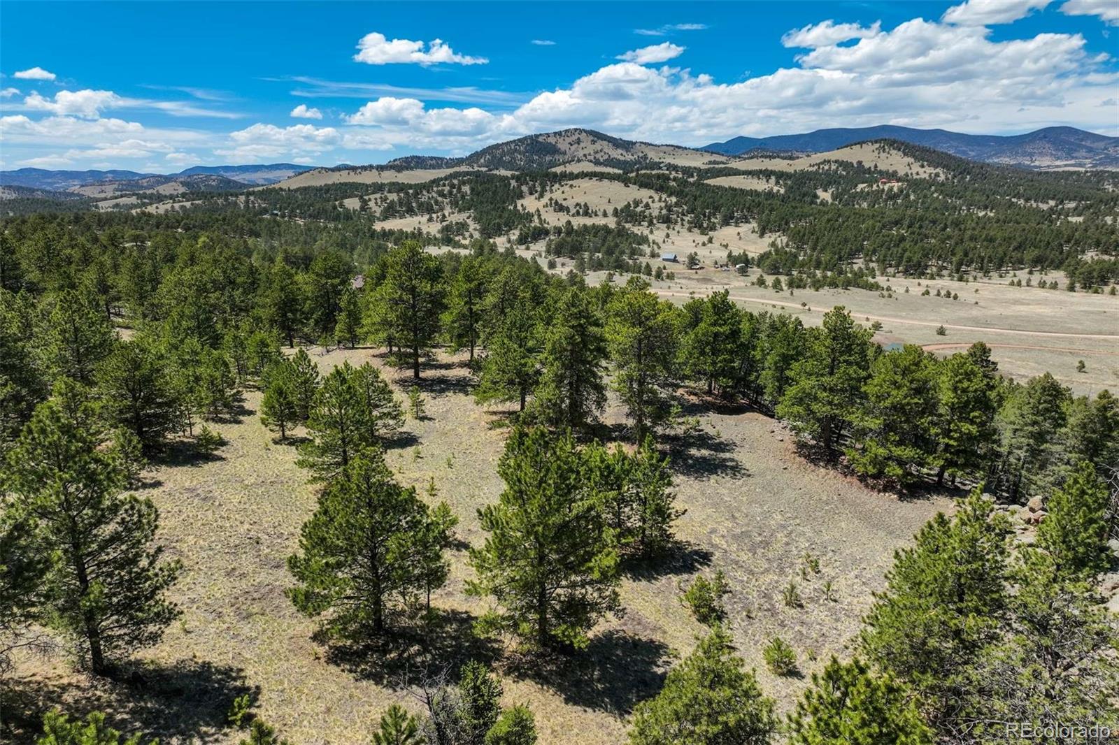128 Nancy Ann Arroyo Guffey CO 80820