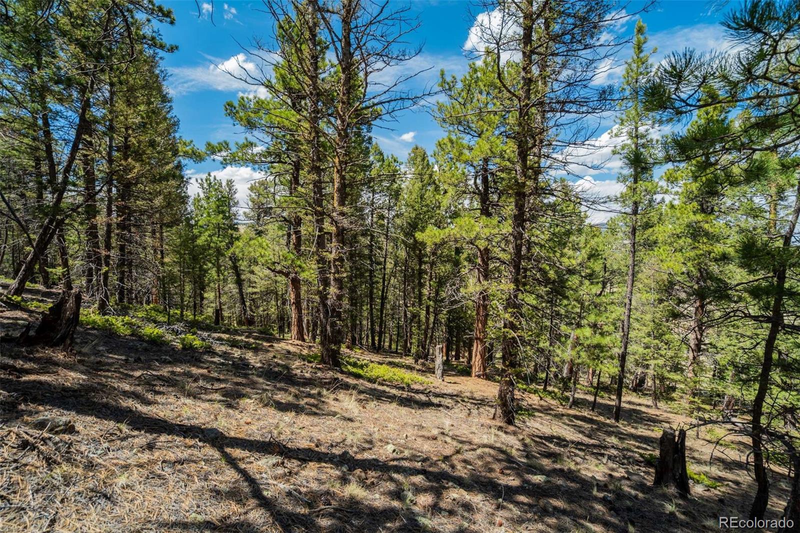 128 Nancy Ann Arroyo Guffey CO 80820