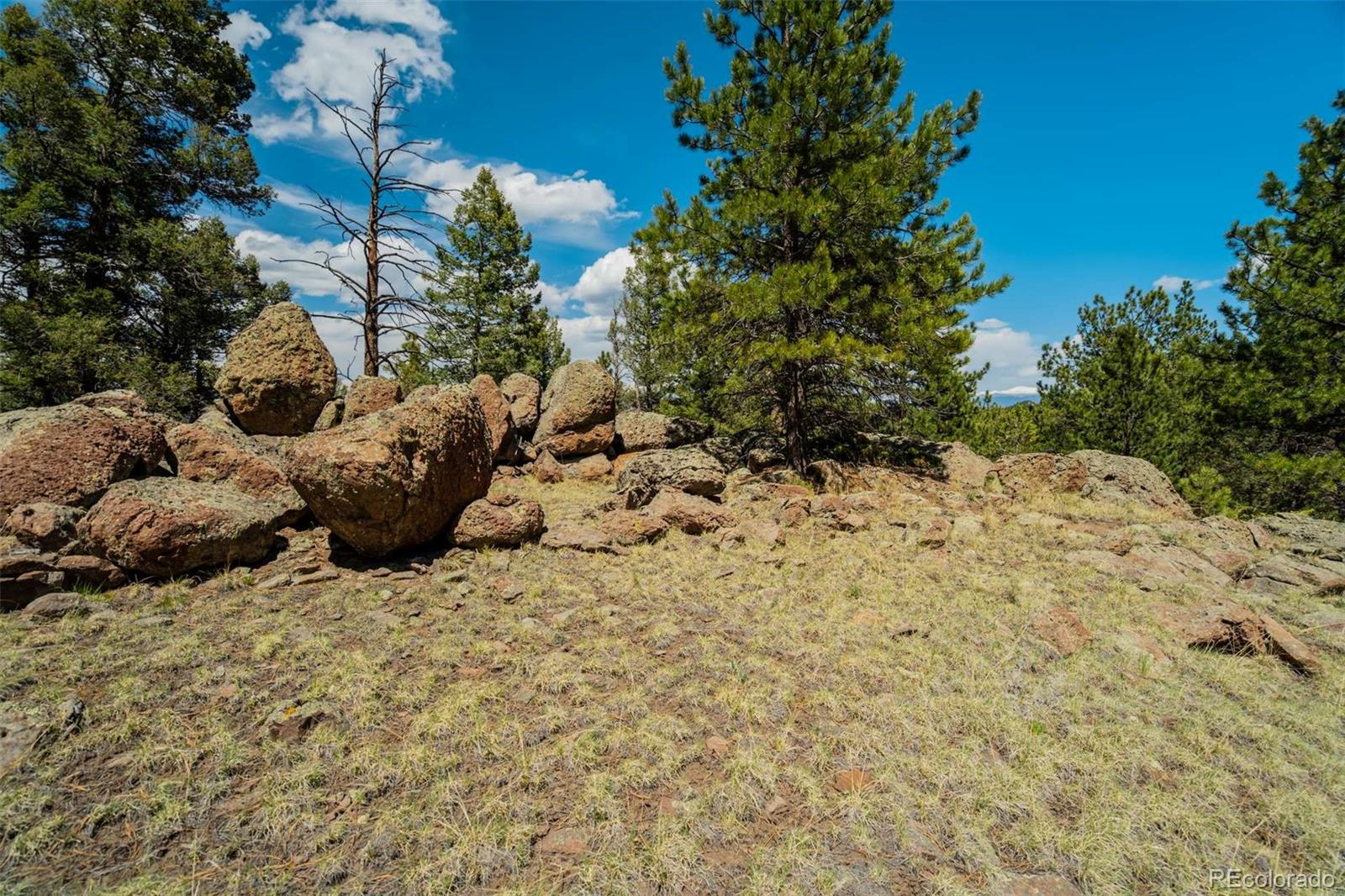 128 Nancy Ann Arroyo Guffey CO 80820
