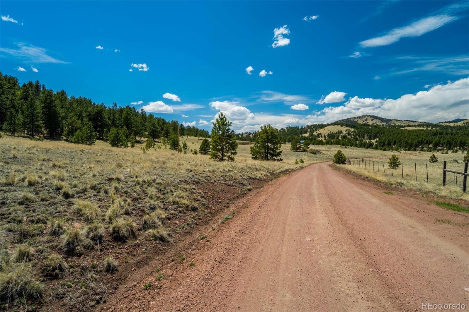 128 Nancy Ann Arroyo Guffey CO 80820