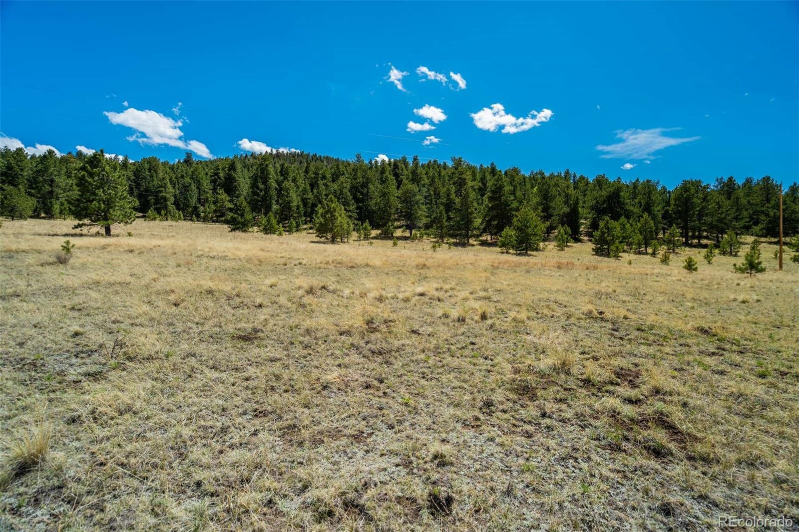 128 Nancy Ann Arroyo Guffey CO 80820