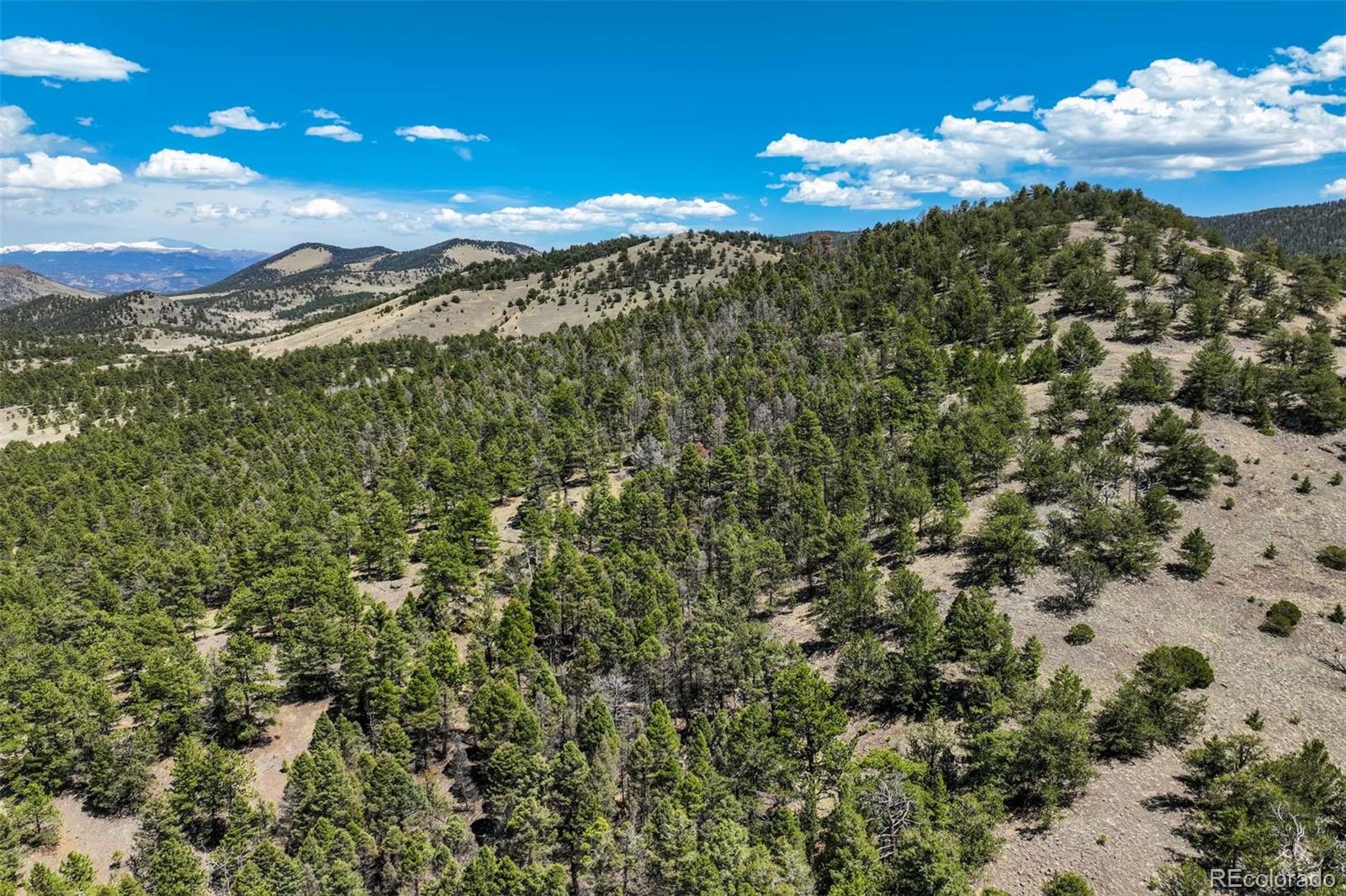 128 Nancy Ann Arroyo Guffey CO 80820