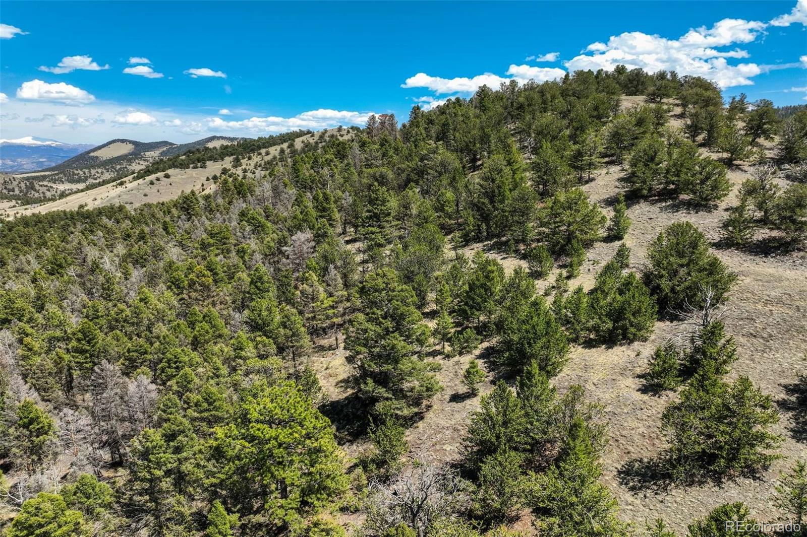 128 Nancy Ann Arroyo Guffey CO 80820