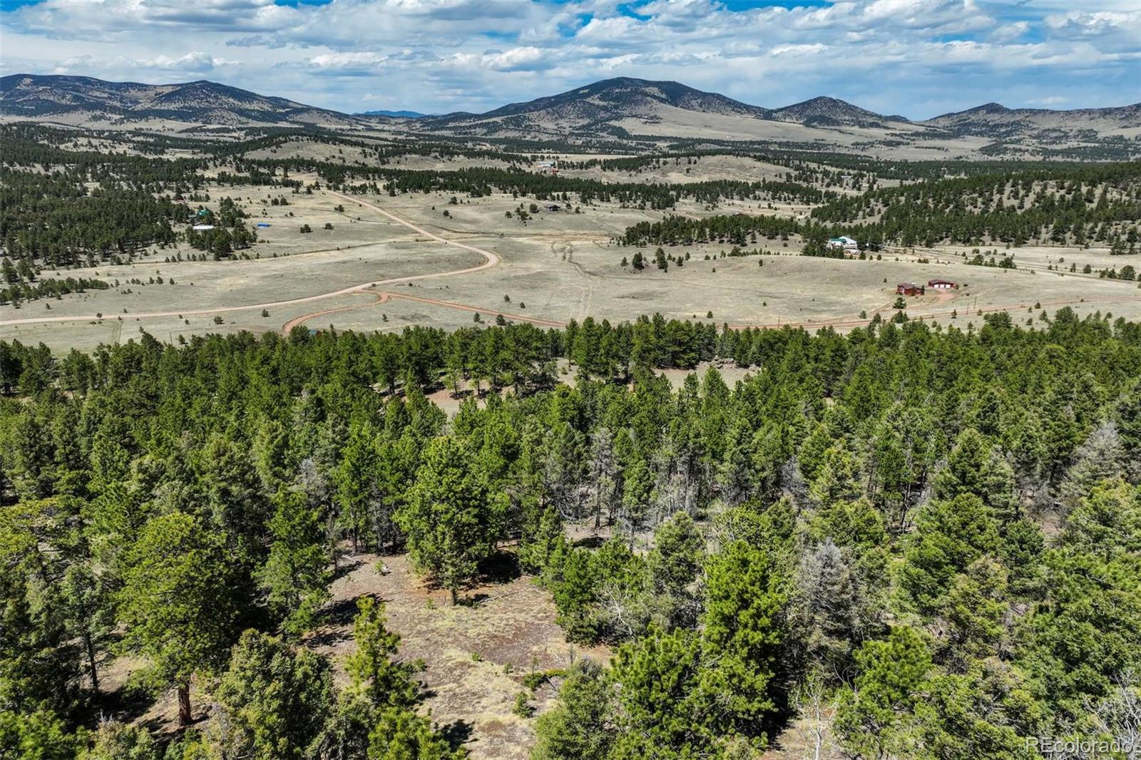 128 Nancy Ann Arroyo Guffey CO 80820