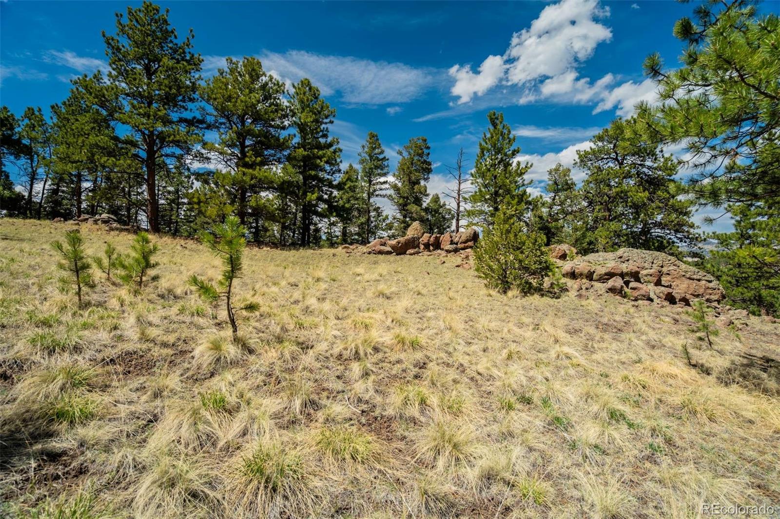 128 Nancy Ann Arroyo Guffey CO 80820