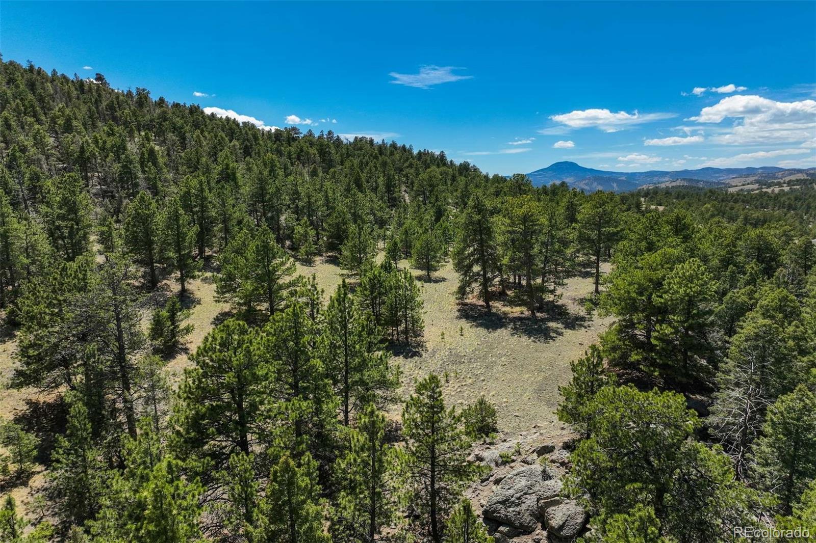128 Nancy Ann Arroyo Guffey CO 80820