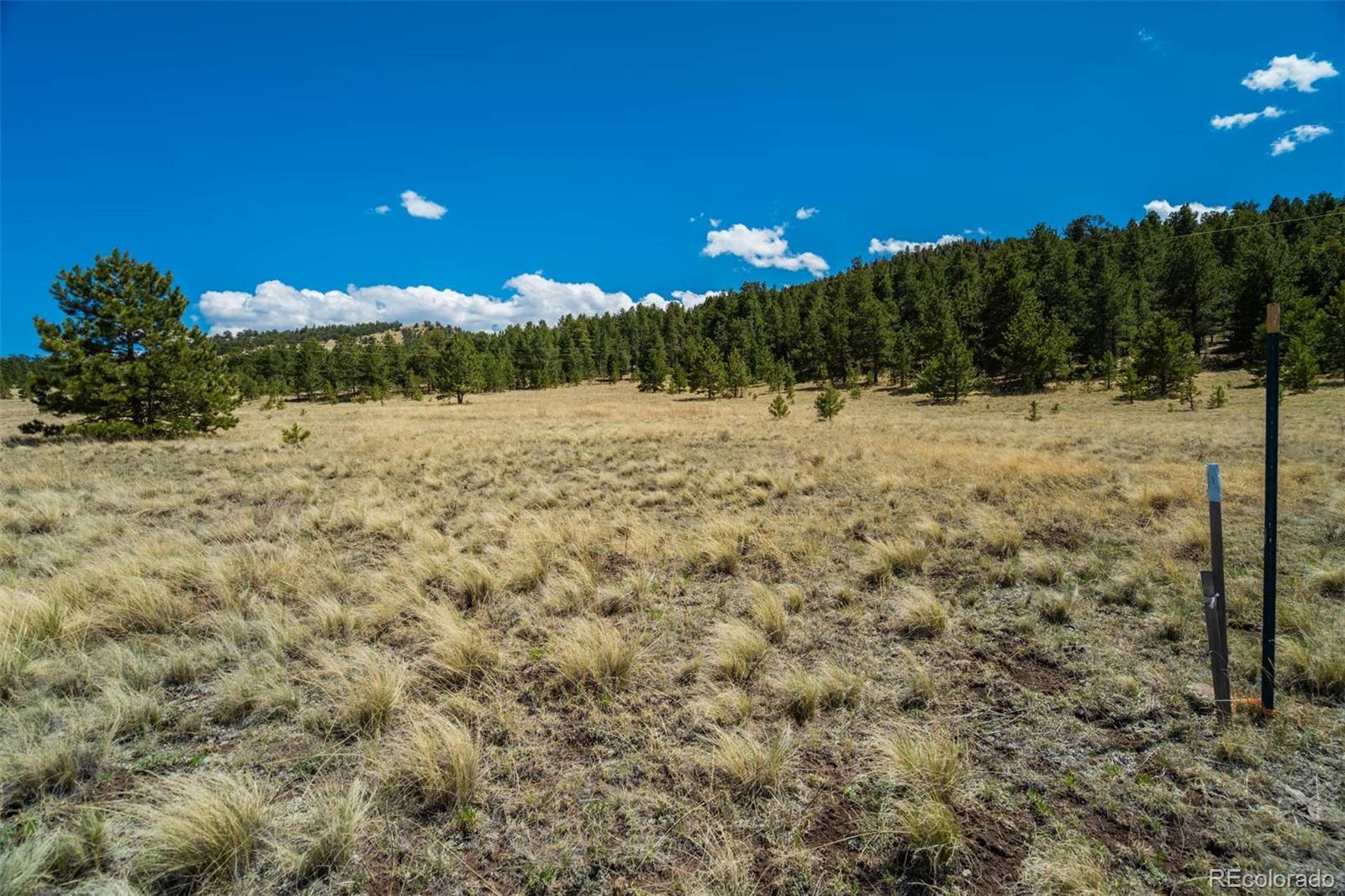 128 Nancy Ann Arroyo Guffey CO 80820