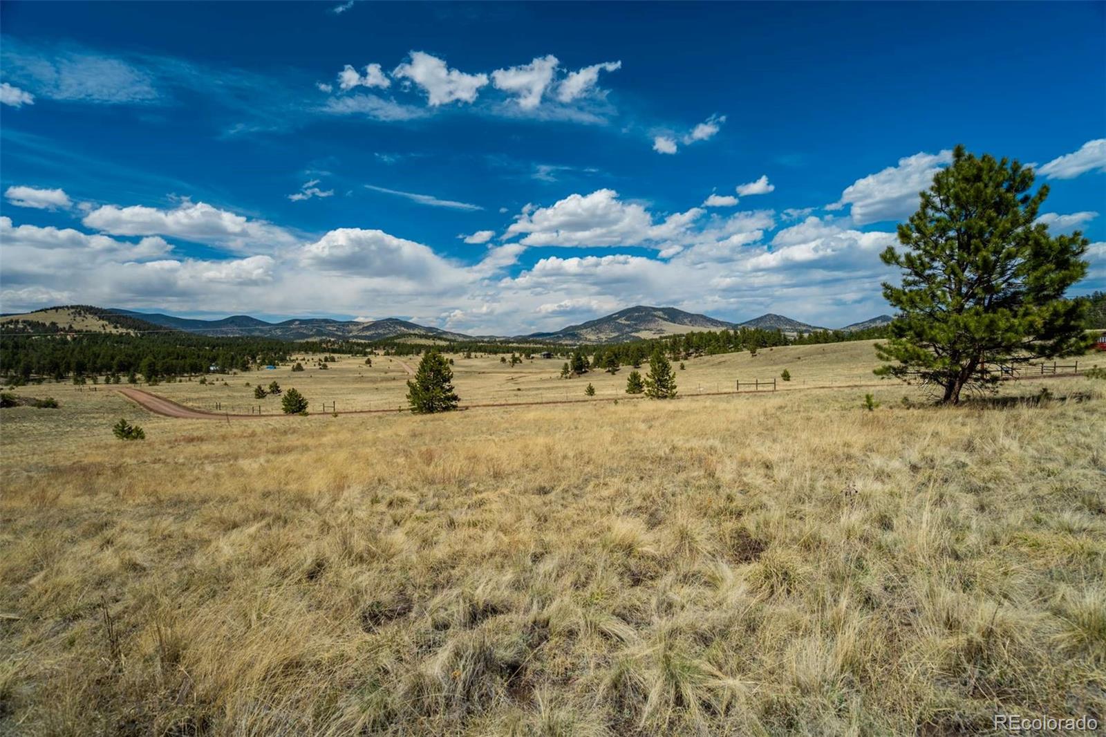 128 Nancy Ann Arroyo Guffey CO 80820