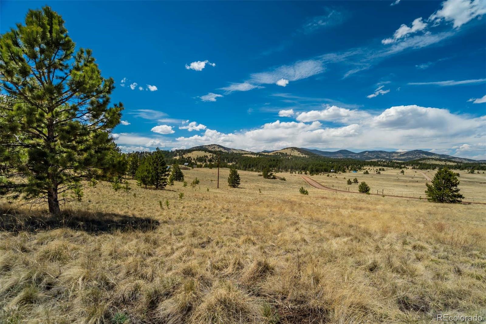 128 Nancy Ann Arroyo Guffey CO 80820