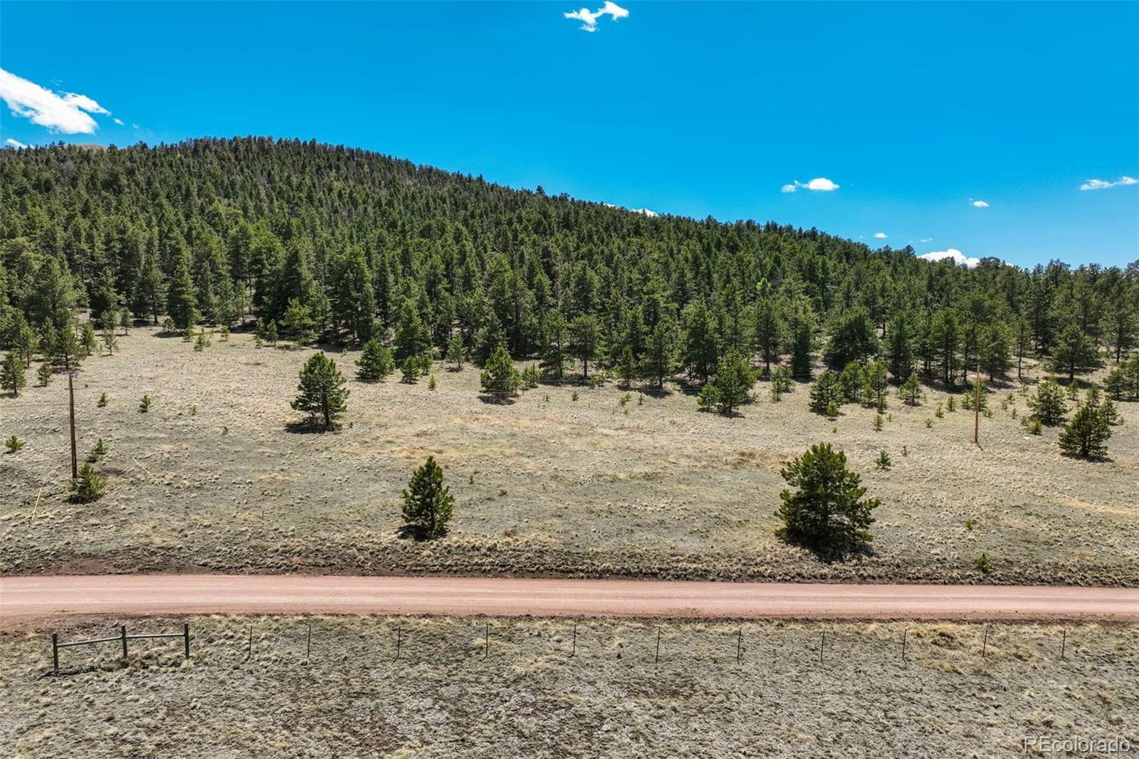 128 Nancy Ann Arroyo Guffey CO 80820