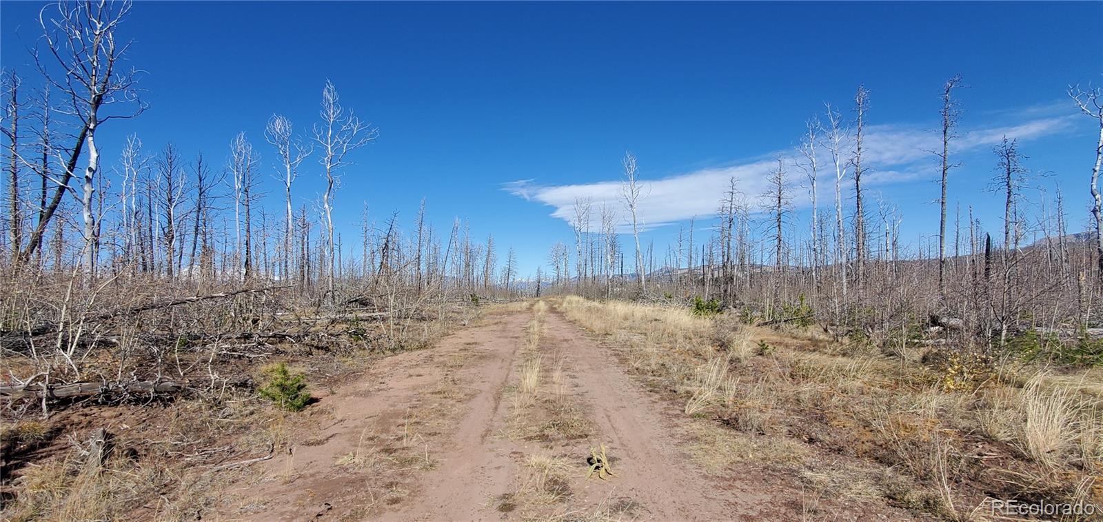 1588 Douglas Drive Fort Garland CO 81133