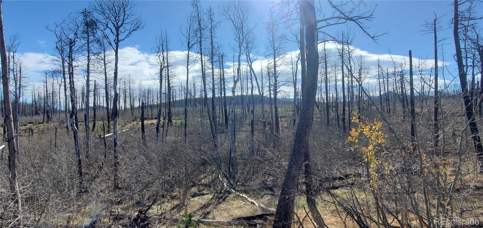 1588 Douglas Drive Fort Garland CO 81133