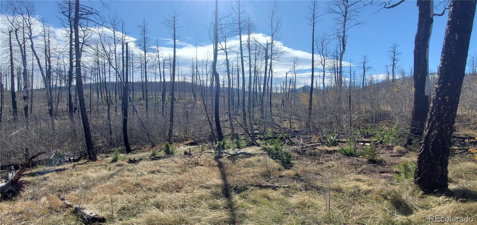 1588 Douglas Drive Fort Garland CO 81133
