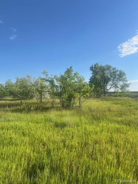 8523 Hygiene Road Longmont CO 80503