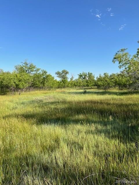 8523 Hygiene Road Longmont CO 80503