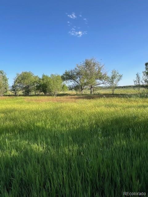 8523 Hygiene Road Longmont CO 80503