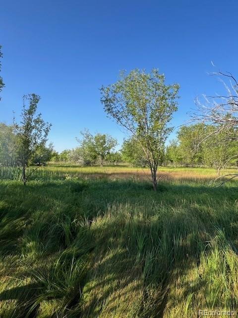 8523 Hygiene Road Longmont CO 80503