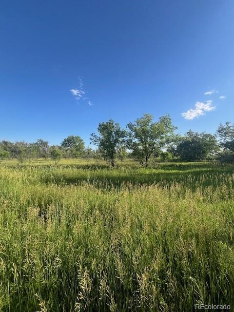 8523 Hygiene Road Longmont CO 80503