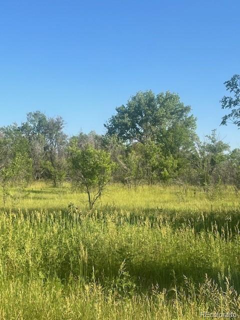8523 Hygiene Road Longmont CO 80503