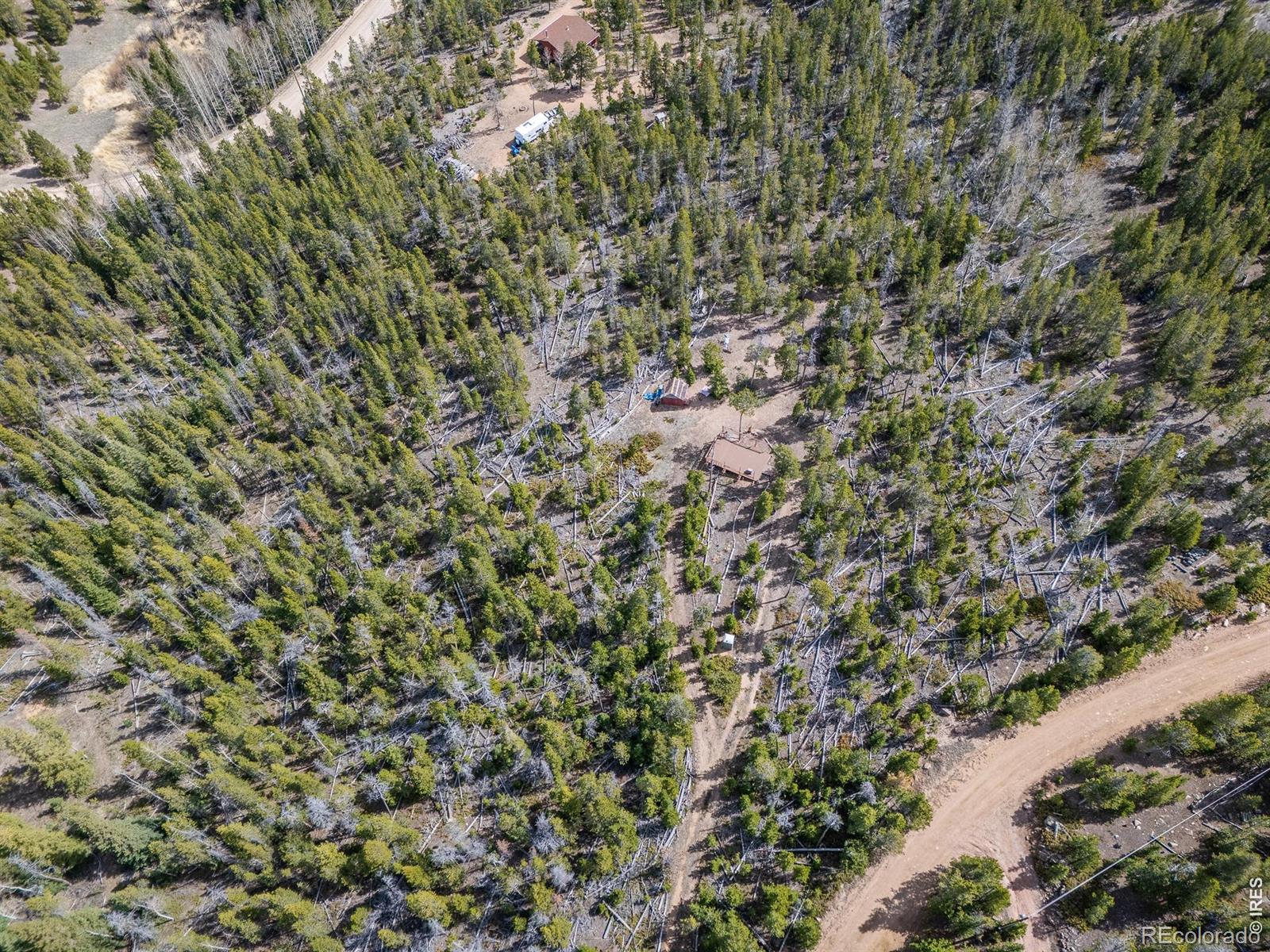 1836 Shoshoni Drive Red Feather Lakes CO 80545