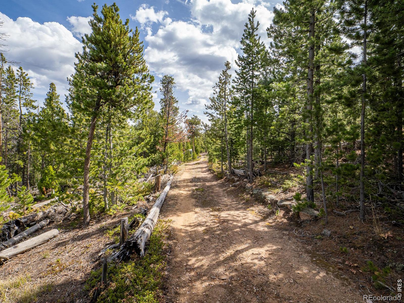 1836 Shoshoni Drive Red Feather Lakes CO 80545