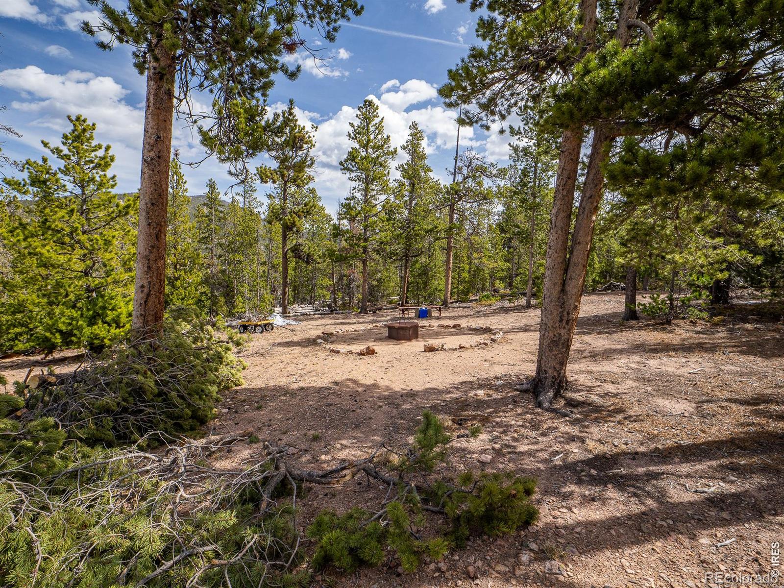 1836 Shoshoni Drive Red Feather Lakes CO 80545