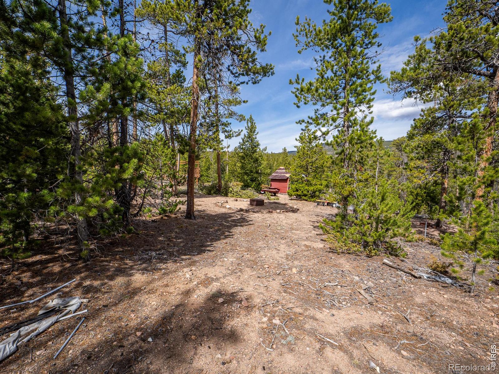 1836 Shoshoni Drive Red Feather Lakes CO 80545