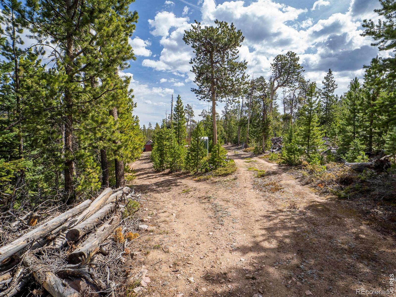1836 Shoshoni Drive Red Feather Lakes CO 80545