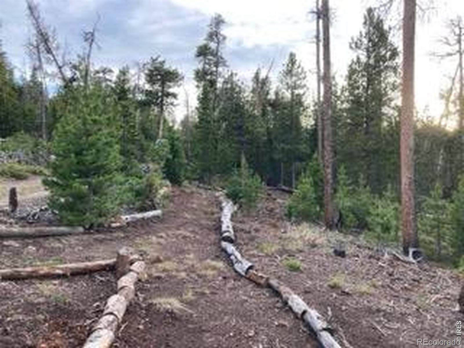 1836 Shoshoni Drive Red Feather Lakes CO 80545