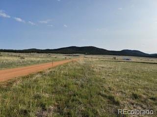 464 Burroback Court Cotopaxi CO 81223