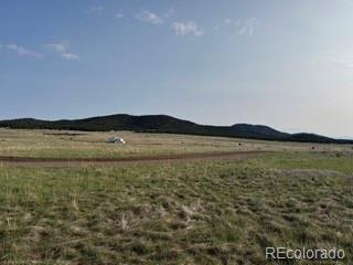 464 Burroback Court Cotopaxi CO 81223