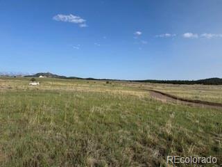 464 Burroback Court Cotopaxi CO 81223
