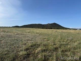 464 Burroback Court Cotopaxi CO 81223