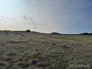 464 Burroback Court Cotopaxi CO 81223