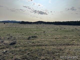 464 Burroback Court Cotopaxi CO 81223