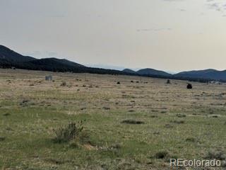 464 Burroback Court Cotopaxi CO 81223