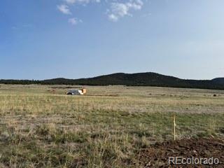 464 Burroback Court Cotopaxi CO 81223