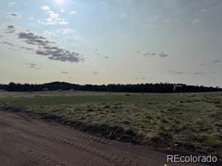 464 Burroback Court Cotopaxi CO 81223