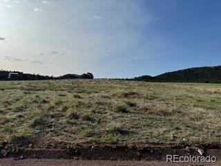 464 Burroback Court Cotopaxi CO 81223