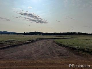 464 Burroback Court Cotopaxi CO 81223