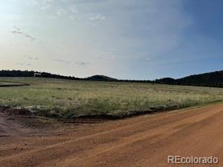 464 Burroback Court Cotopaxi CO 81223
