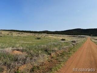 464 Burroback Court Cotopaxi CO 81223