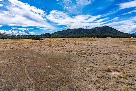 464 Burroback Court Cotopaxi CO 81223