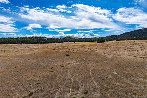 464 Burroback Court Cotopaxi CO 81223